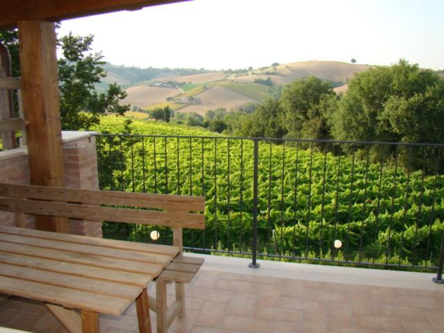Agriturismo Vecchio Gelso Ortezzano Exterior foto